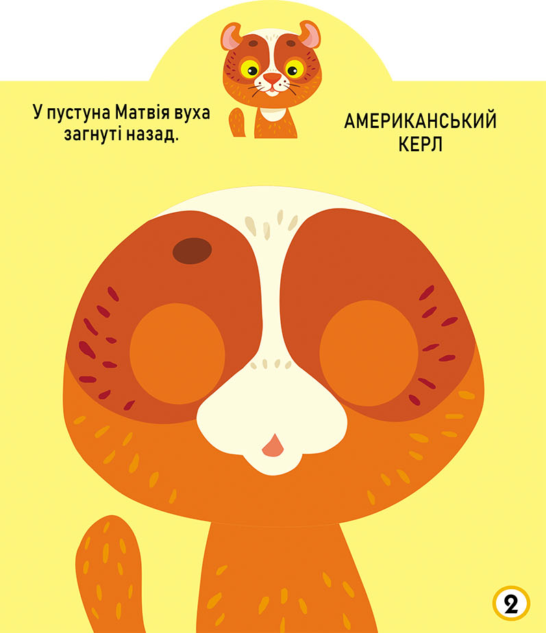 Книга Грайка-розвивайка. Котики. 69 великих наліпок. Фото 3