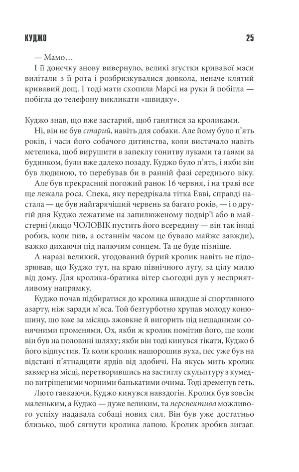 Книга Куджо - Стівен Кінг. Фото 23