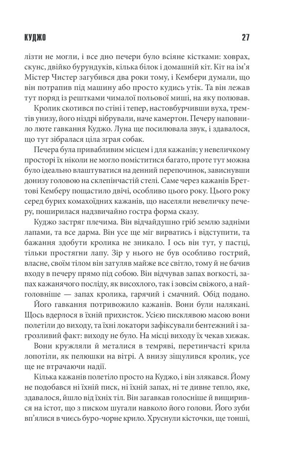 Книга Куджо - Стівен Кінг. Фото 25