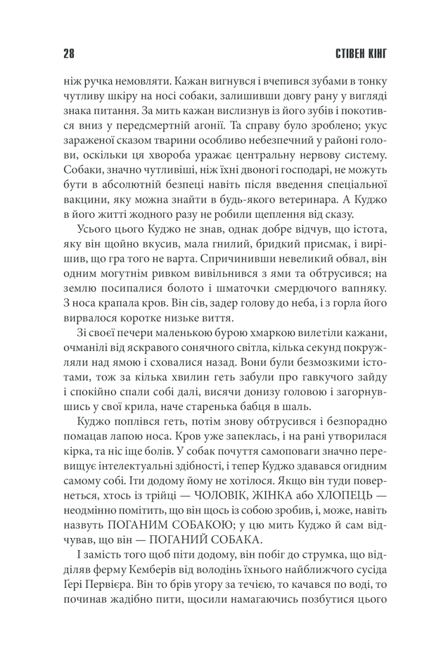 Книга Куджо - Стівен Кінг. Фото 26