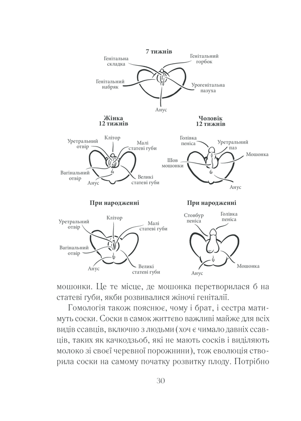 Книга Як бажає жінка. Правда про сексуальне здоров’я - Емілі Наґоскі. Фото 29