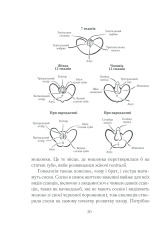 Книга Як бажає жінка. Правда про сексуальне здоров’я - Емілі Наґоскі. Фото 29