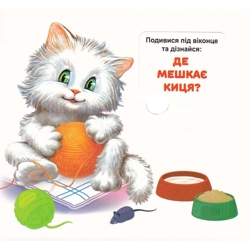 Книга 33 віконця Хто де живе? . Фото 2