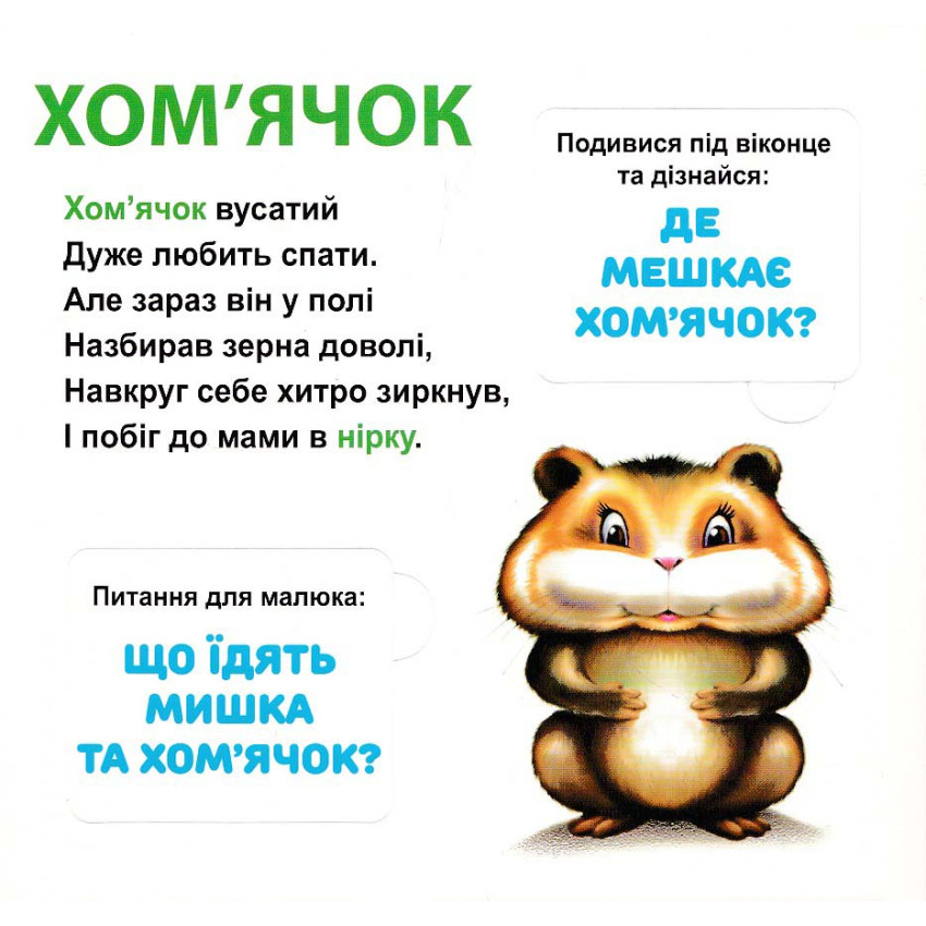 Книга 33 віконця Хто де живе? . Фото 4