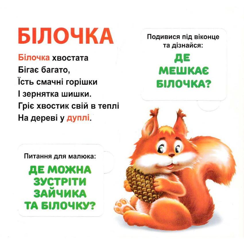 Книга 33 віконця Хто де живе? . Фото 5