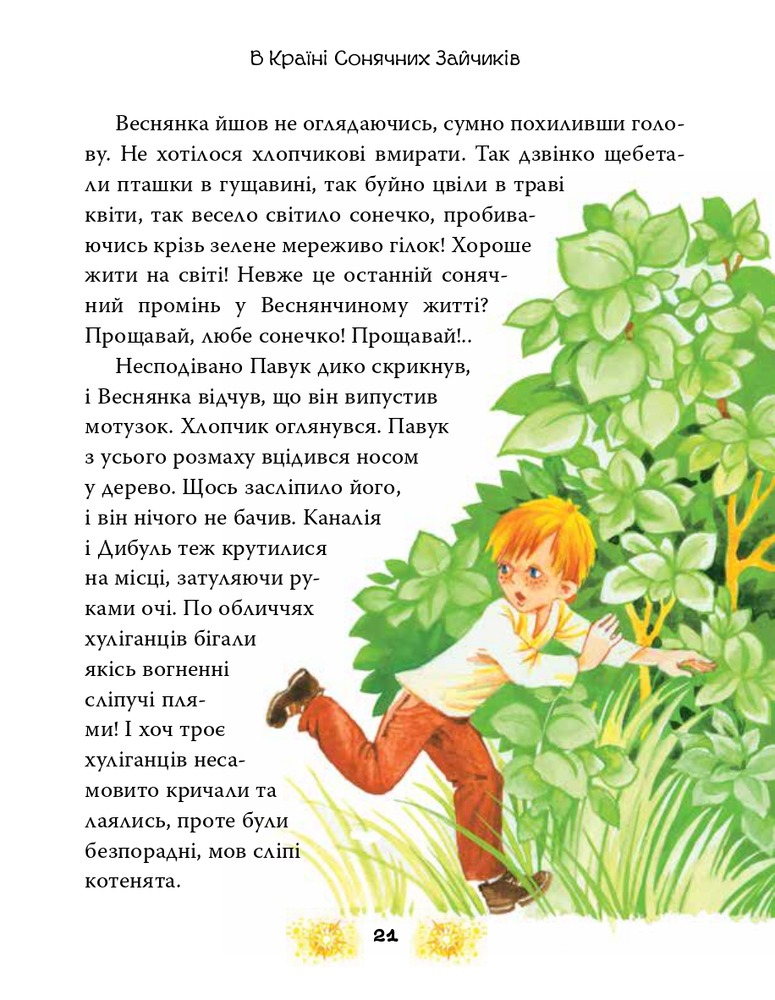 Книга В Країні Сонячних Зайчиків - Всеволод Нестайко. Фото 13