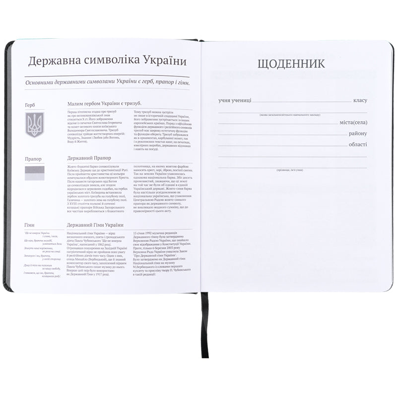 Щоденник шкільний Kite, тверда обкладинка, PU Skate K26-264-3. Фото 4