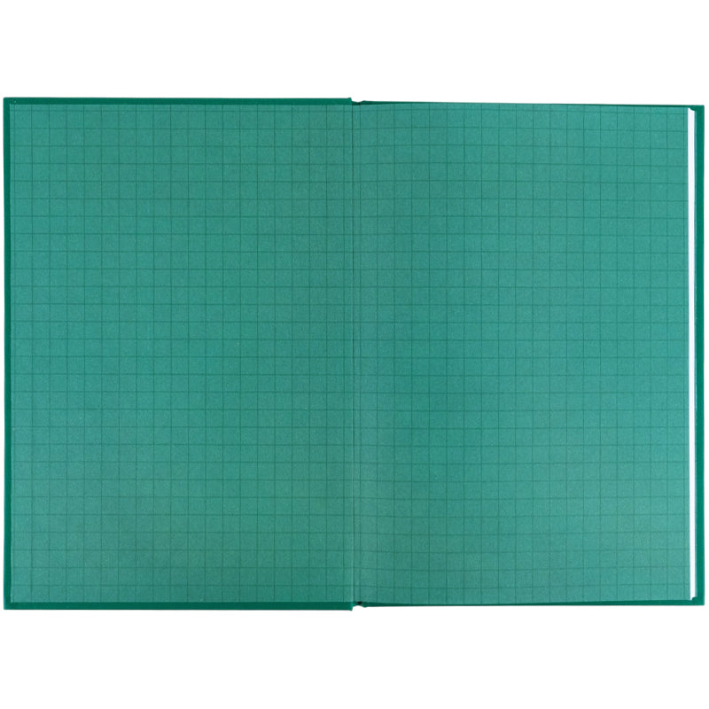 Щоденник шкільний Kite K26-262-13, тверда обкладинка, зелений. Фото 3