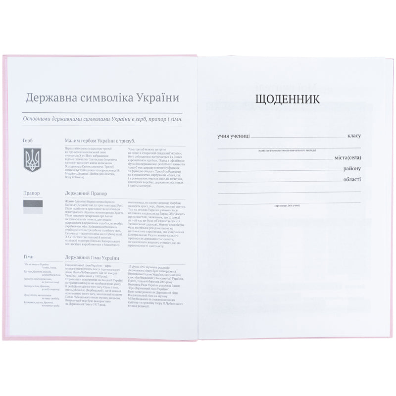 Щоденник шкільний Kite K26-262-14, тверда обкладинка, світло рожевий. Фото 4