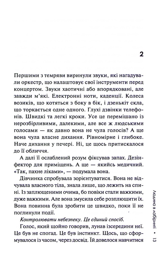 Книга Людина в лабіринті. Книга 3 - Донато Каррізі. Фото 10