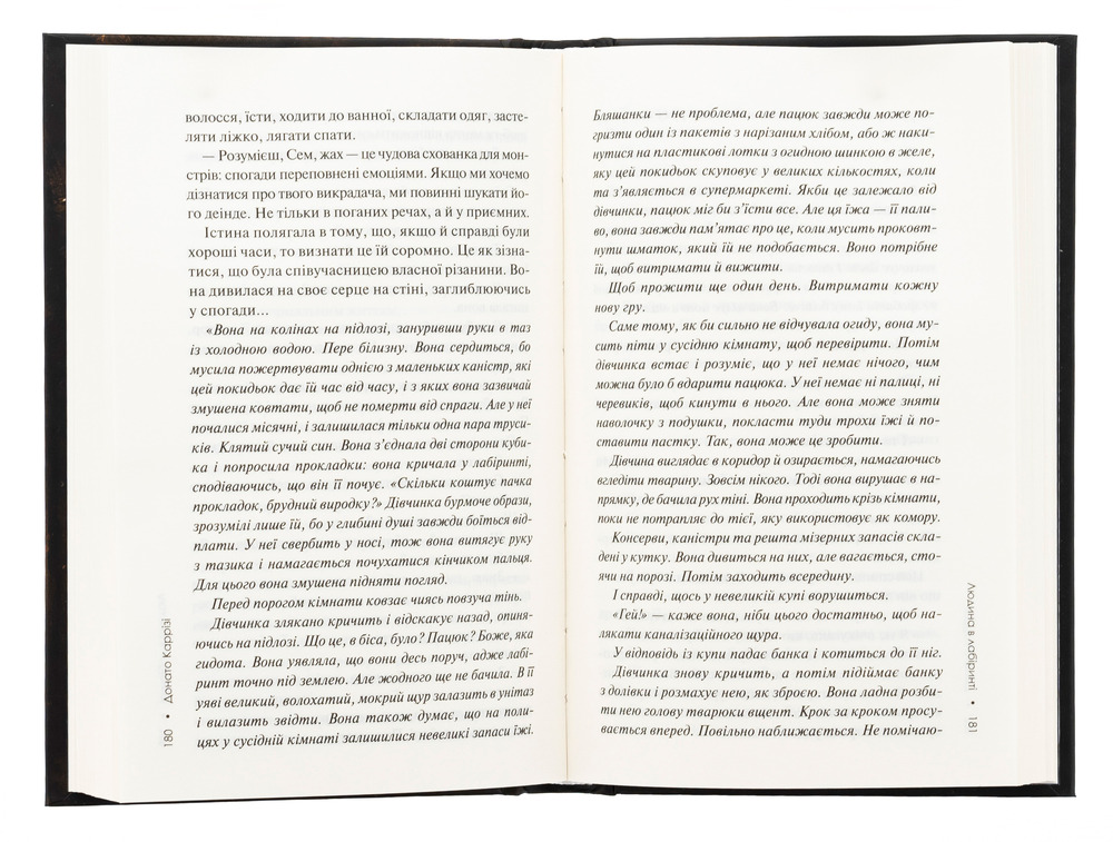 Книга Людина в лабіринті. Книга 3 - Донато Каррізі. Фото 3