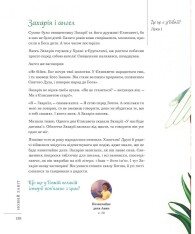 Книга Біблія. Божа велика історія. 140 розповідей для дітей - Том Райт. Фото 13