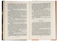 Книга Звіяні вітром. Книга 2 - Маргарет Мітчелл. Фото 5