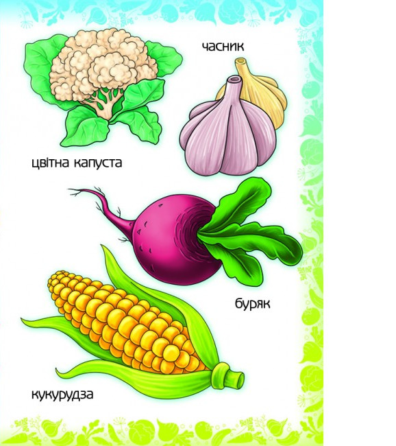 Книга Вчимо овочі. Фото 3