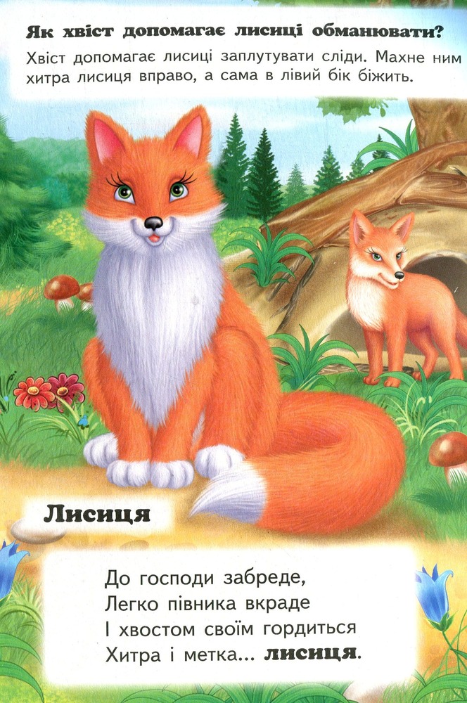 Книга Хто це? У лісі. Фото 4