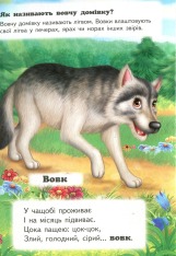 Книга Хто це? У лісі. Фото 3