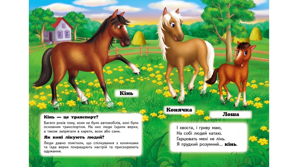 Книга Хто це? Свійські. Фото 3