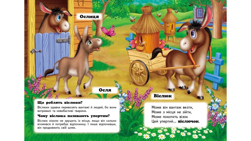 Книга Хто це? Свійські. Фото 4
