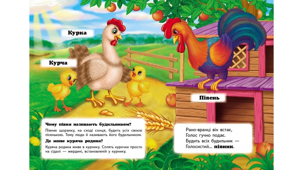 Книга Хто це? Свійські. Фото 2