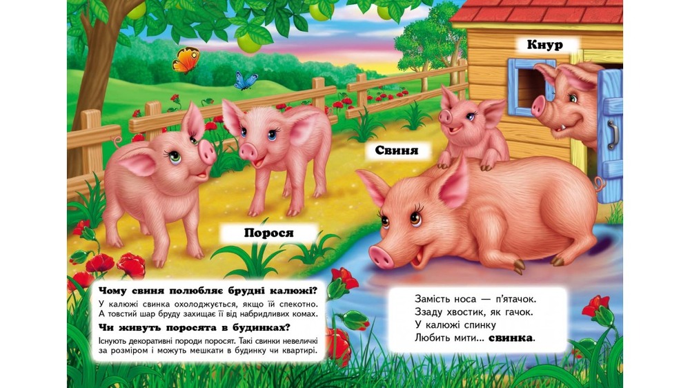 Книга Хто це? Свійські. Фото 6