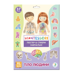 Навчальний постер з наклейками DoDo - Тіло людини XL 300901