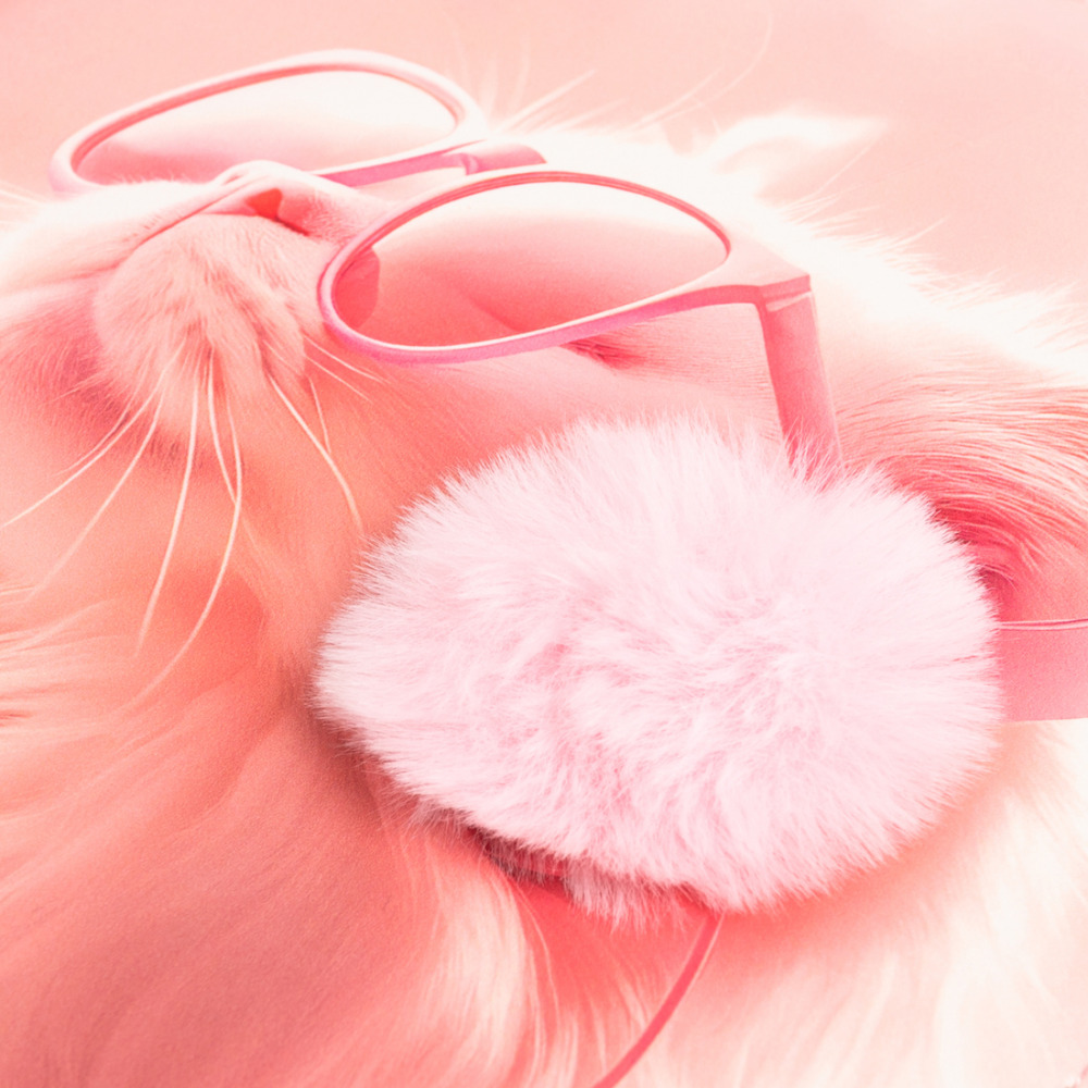 Щоденник шкільний Yes Cat Dream A5 40 аркушів PU твердий 911689. Фото 2