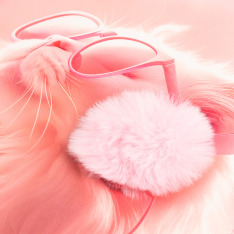 Щоденник шкільний Yes Cat Dream A5 40 аркушів PU твердий 911689. Фото 2
