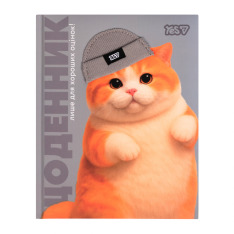 Щоденник шкільний Yes Chunky Cat A5 40 аркушів твердий 911720