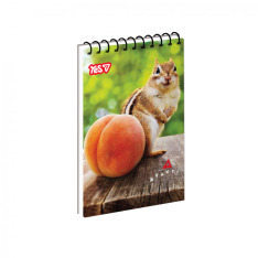 Зошит для записів Yes Сhipmunk and peach А7 80 аркушів 152561
