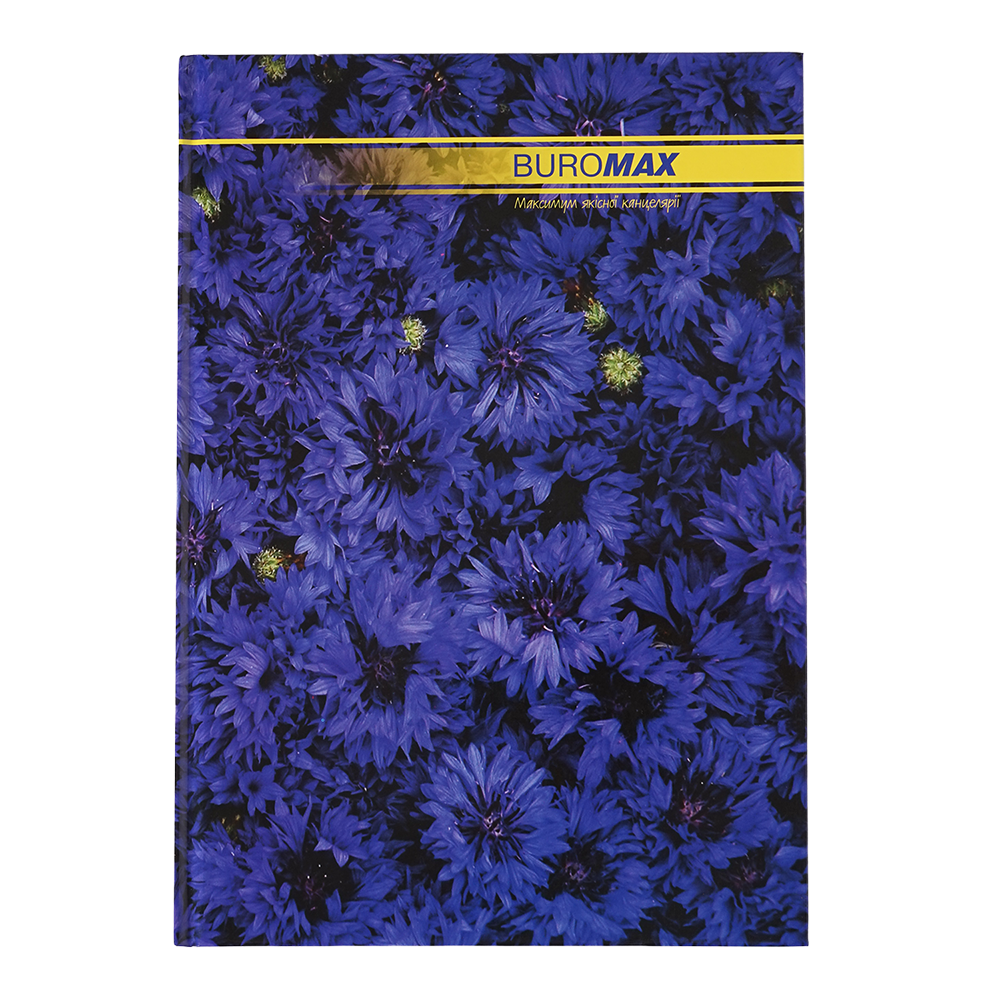 Канцелярська книга Buromax NATURE А4 96 аркушів, клітинка BM.2400i 