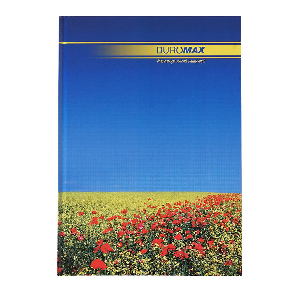 Канцелярська книга Buromax NATURE А4 96 аркушів, клітинка BM.2400i . Фото 2