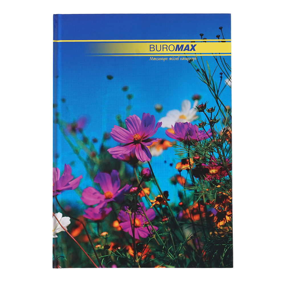 Канцелярська книга Buromax NATURE А4 96 аркушів, клітинка BM.2400i . Фото 3