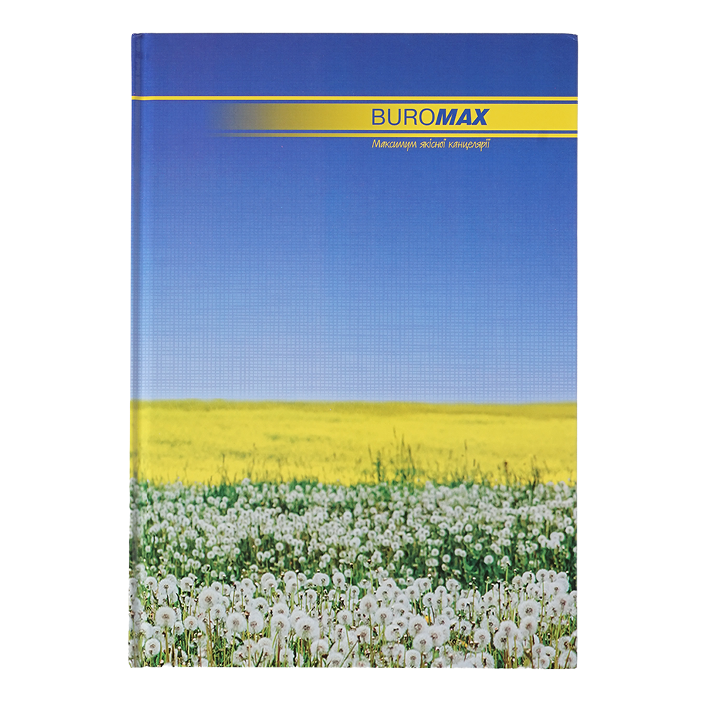 Канцелярська книга Buromax NATURE А4 96 аркушів, клітинка BM.2400i . Фото 4