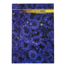 Канцелярська книга Buromax NATURE А4 96 аркушів, клітинка BM.2400i