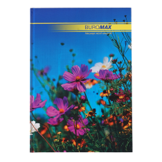 Канцелярська книга Buromax NATURE А4 96 аркушів, клітинка BM.2400i . Фото 3