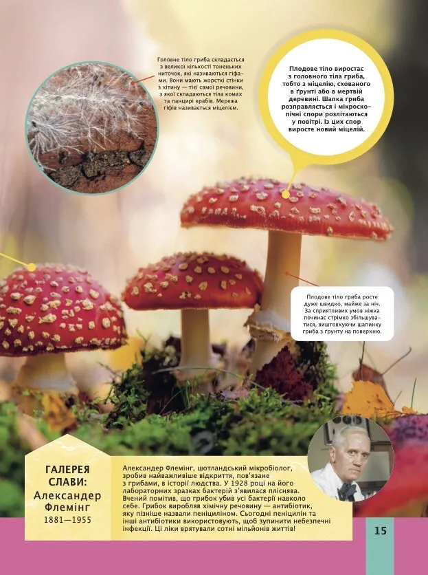 Книга Дитяча енциклопедія біології - Том Джексон. Фото 15