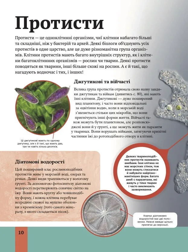 Книга Дитяча енциклопедія біології - Том Джексон. Фото 10