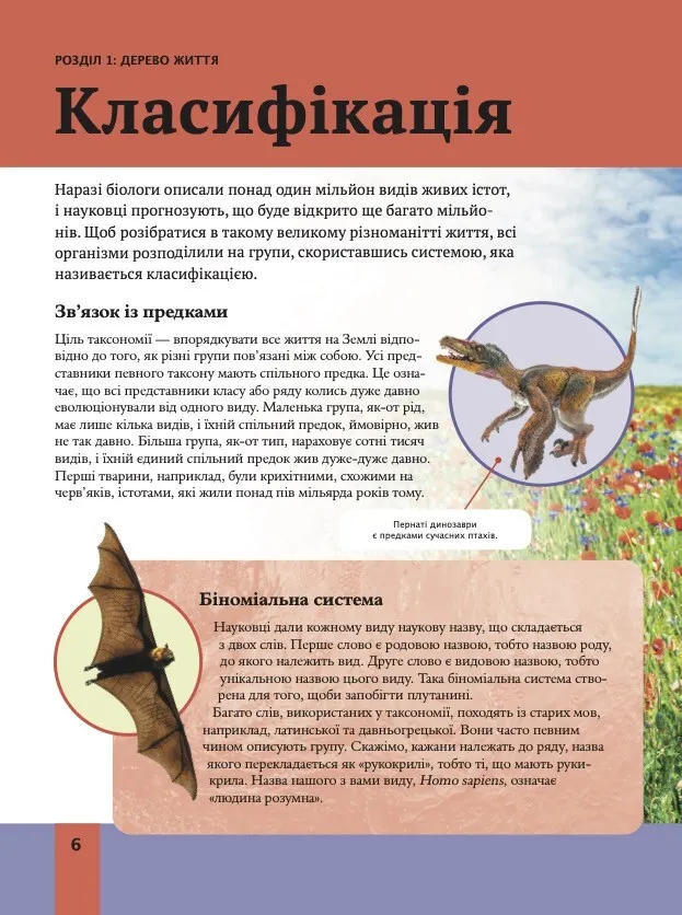 Книга Дитяча енциклопедія біології - Том Джексон. Фото 6