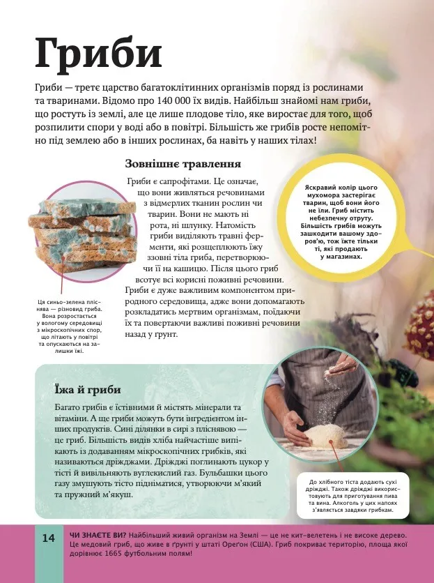 Книга Дитяча енциклопедія біології - Том Джексон. Фото 14