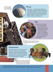 Книга Дитяча енциклопедія математики - Тім Коллінз. Фото 5