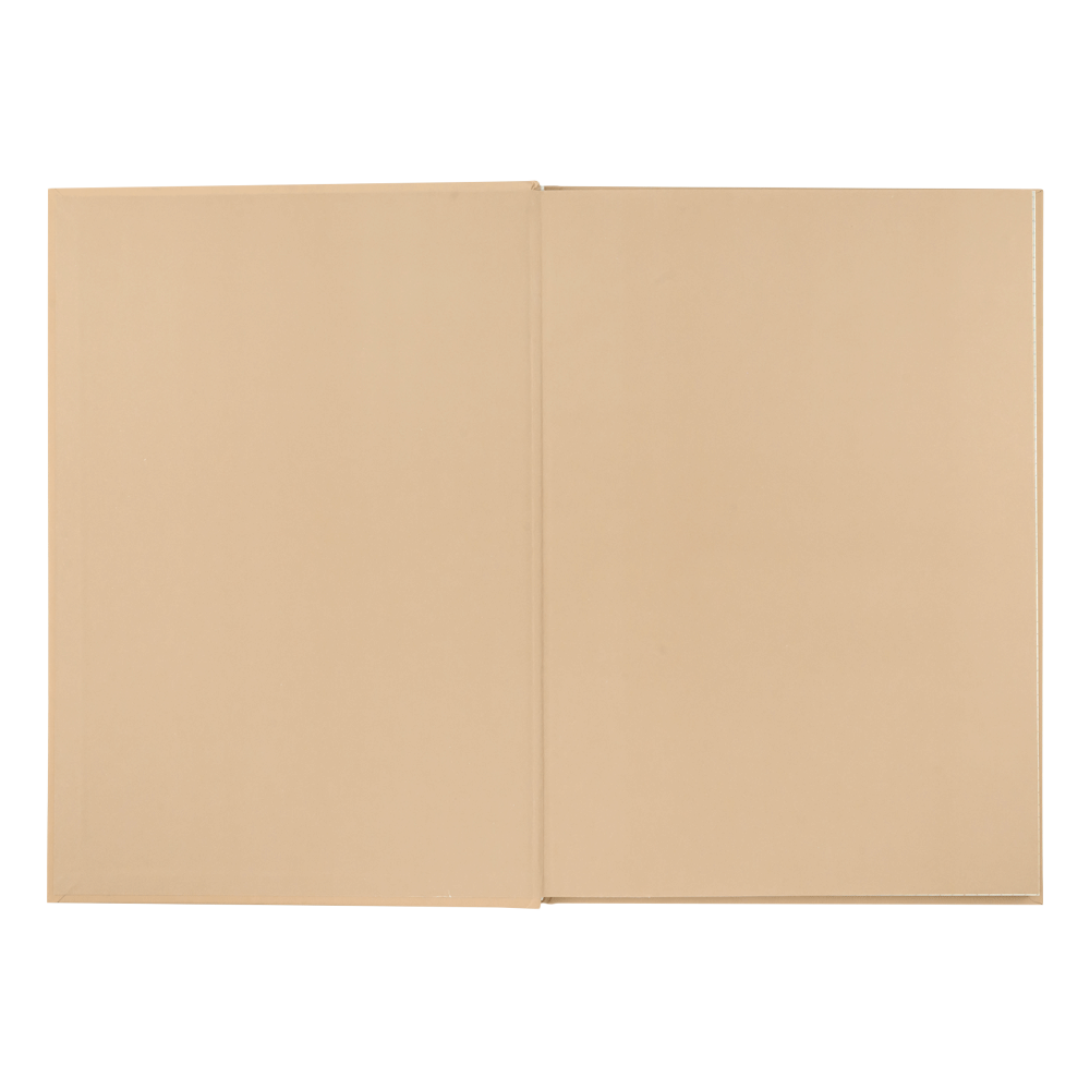 Книга канцелярська Buromax MORANDI STYLE А4 96 аркушів в клітинку BM.2400-432i. Фото 2