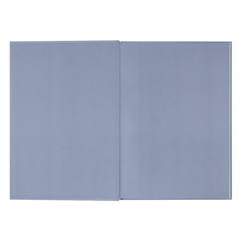 Книга канцелярська Buromax MORANDI STYLE А4 96 аркушів в клітинку BM.2400-453i. Фото 2