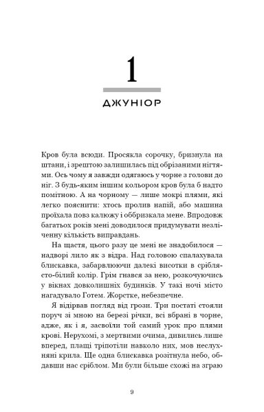 Книга У темряві. Книга 2. Пастка зімкнулась - Навесса Аллен. Фото 6