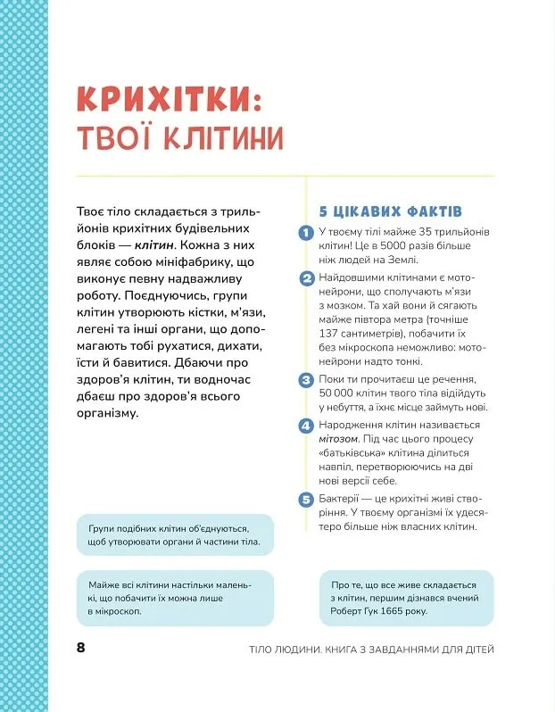 Книга Тіло людини. Розвивальні завдання для дітей . Фото 7