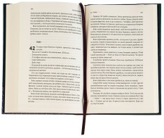 Книга Непокірні - Емілія Гарт. Фото 6