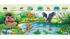 Книжка з віконцями. Лісові мешканці. 55 віконець. Фото 4