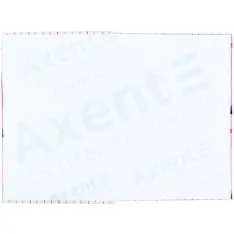Книга записна Axent Emily in Paris 8457-20-A-EIP, А5, 96 аркушів, клітинка, тверда обкладинка. Фото 3