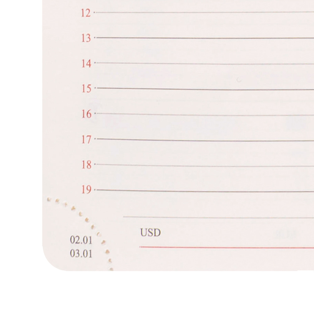 Щоденник діловий Leo Planner датований Binario А5 2027 м'який ліловий хамелеон 368 сторінок 252727. Фото 15