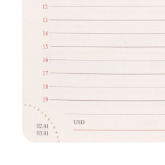 Щоденник діловий Leo Planner Nebraska А5 датований 2027 твердий коричневий 368 сторінок 252767. Фото 15