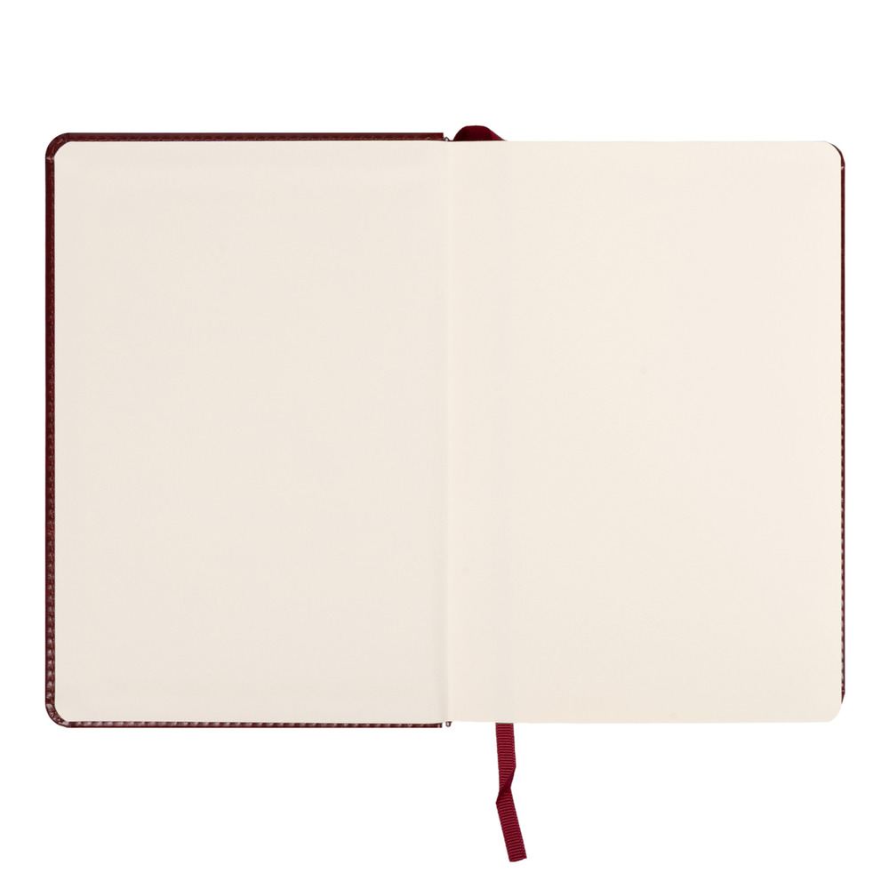 Щоденник діловий Leo Planner Vector A5 датований 2027 твердий коричневий 368 сторінок 252759. Фото 3